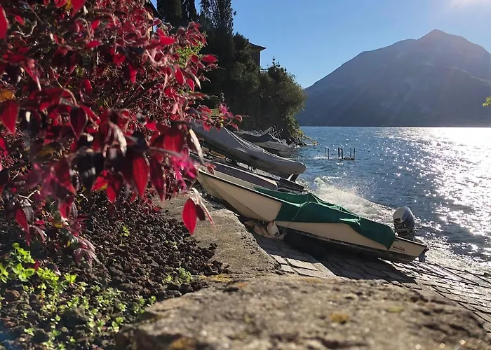 Punto Di Vista - A Real Paradise *