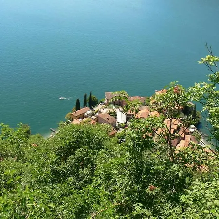Punto Di Vista - A Real Paradise *